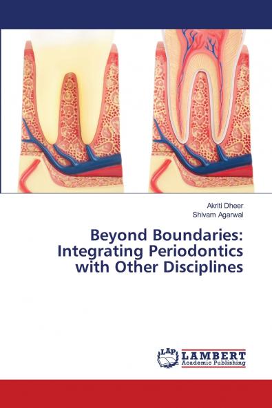 Beyond Boundaries