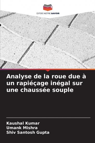 Analyse de la roue due à un rapiéçage inégal sur une chaussée souple