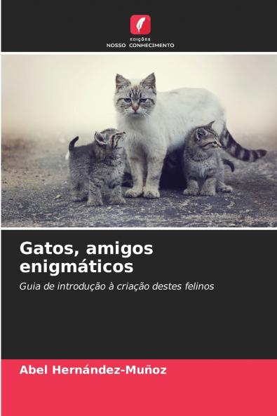 Gatos amigos enigmáticos