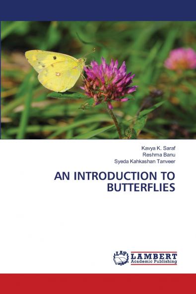 AN INTRODUCTION TO BUTTERFLIES