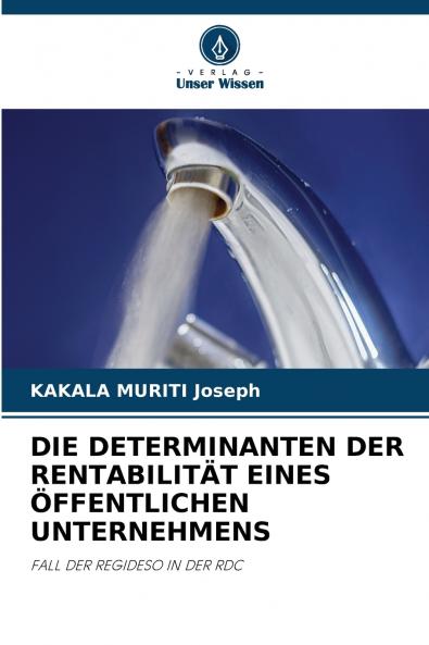 DIE DETERMINANTEN DER RENTABILITÄT EINES ÖFFENTLICHEN UNTERNEHMENS