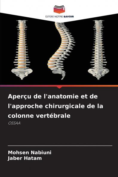 Aperçu de l'anatomie et de l'approche chirurgicale de la colonne vertébrale
