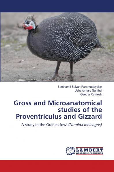 Gross and Microanatomical studies of the Proventriculus and Gizzard