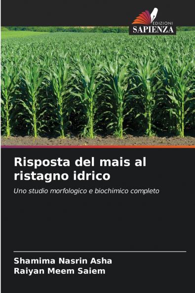 Risposta del mais al ristagno idrico
