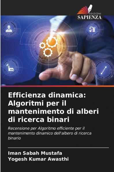Efficienza dinamica