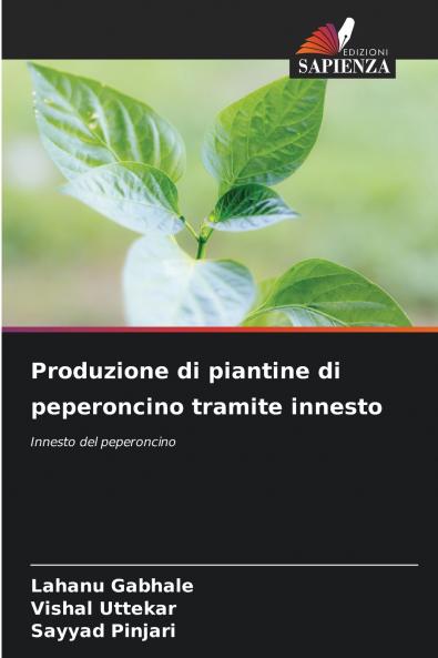 Produzione di piantine di peperoncino tramite innesto