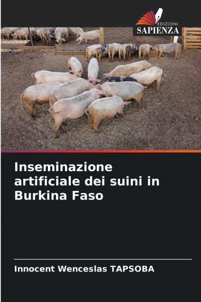 Inseminazione artificiale dei suini in Burkina Faso