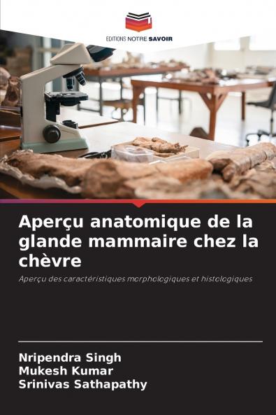 Aperçu anatomique de la glande mammaire chez la chèvre