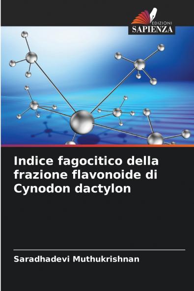 Indice fagocitico della frazione flavonoide di Cynodon dactylon