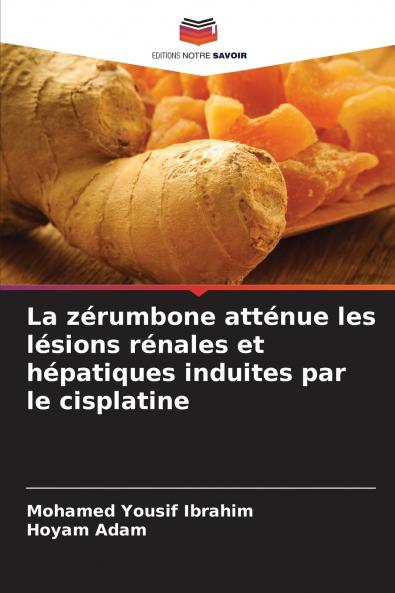 La zérumbone atténue les lésions rénales et hépatiques induites par le cisplatine