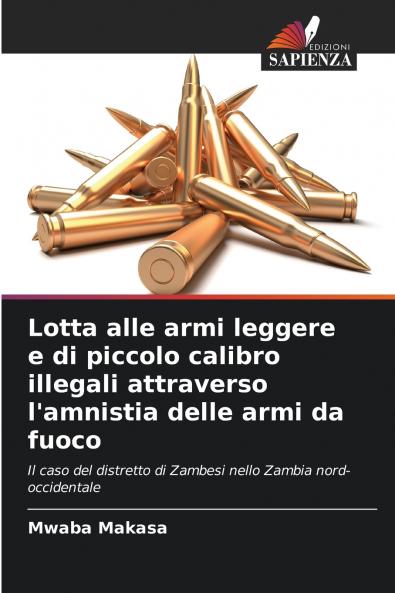 Lotta alle armi leggere e di piccolo calibro illegali attraverso l'amnistia delle armi da fuoco