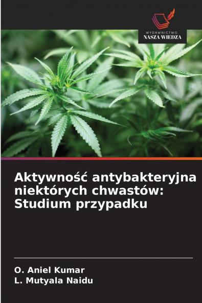 Aktywno?? antybakteryjna niektórych chwastów