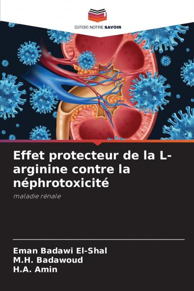 Effet protecteur de la L-arginine contre la néphrotoxicité