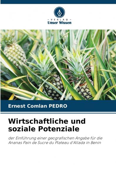 Wirtschaftliche und soziale Potenziale