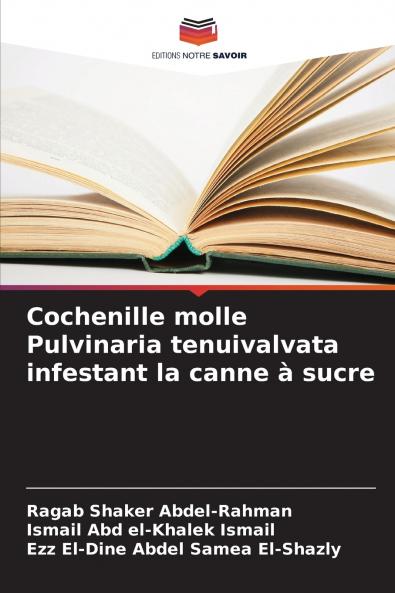 Cochenille molle Pulvinaria tenuivalvata infestant la canne à sucre