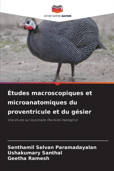 Études macroscopiques et microanatomiques du proventricule et du gésier