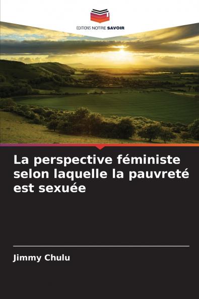 La perspective féministe selon laquelle la pauvreté est sexuée