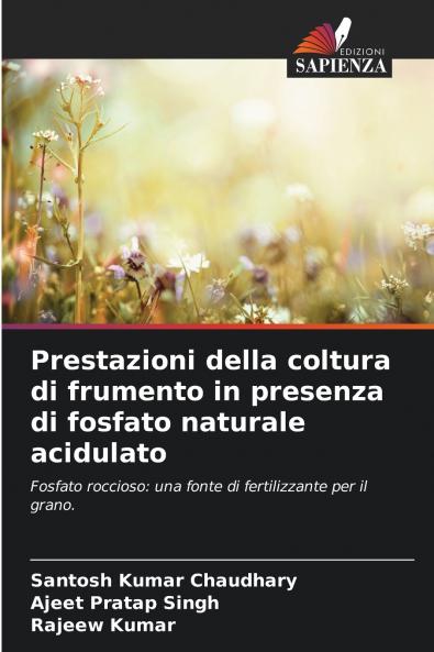 Prestazioni della coltura di frumento in presenza di fosfato naturale acidulato
