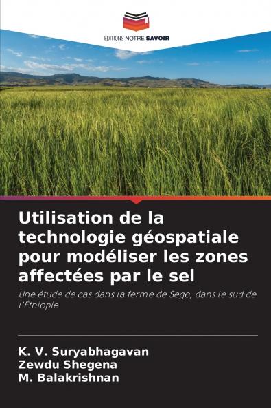 Utilisation de la technologie géospatiale pour modéliser les zones affectées par le sel