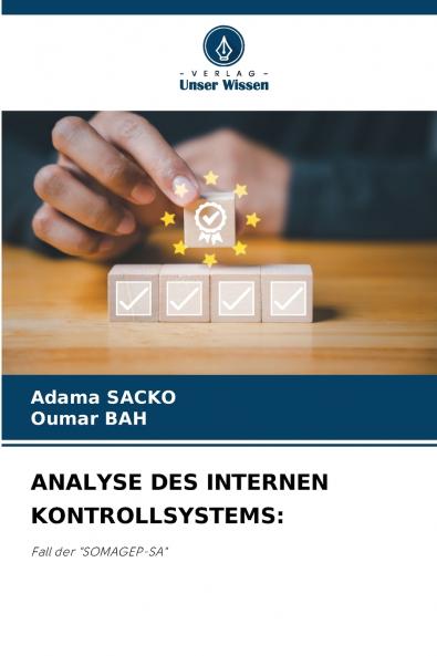 ANALYSE DES INTERNEN KONTROLLSYSTEMS