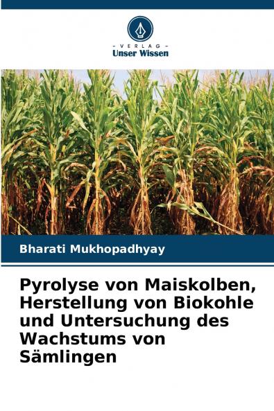 Pyrolyse von Maiskolben Herstellung von Biokohle und Untersuchung des Wachstums von Sämlingen