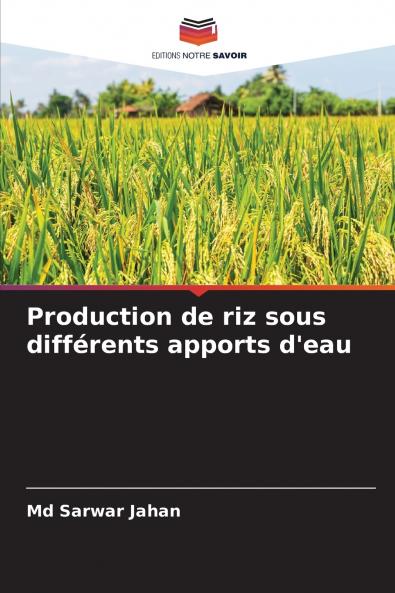 Production de riz sous différents apports d'eau