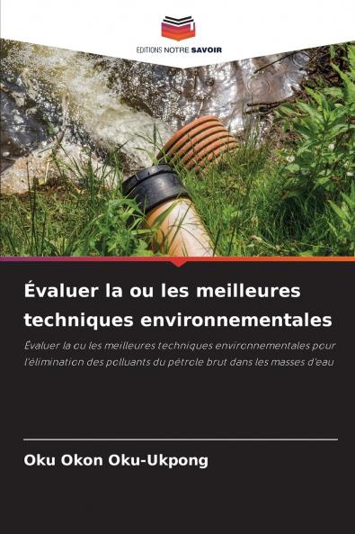 Évaluer la ou les meilleures techniques environnementales
