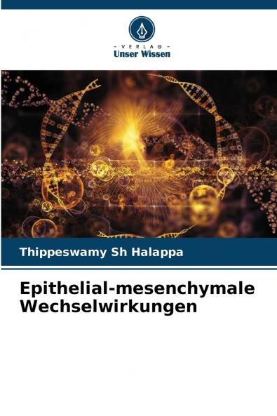Epithelial-mesenchymale Wechselwirkungen