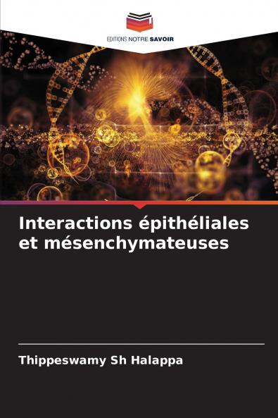 Interactions épithéliales et mésenchymateuses