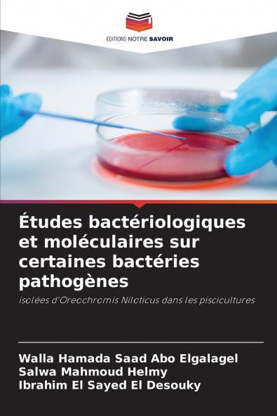 Études bactériologiques et moléculaires sur certaines bactéries pathogènes
