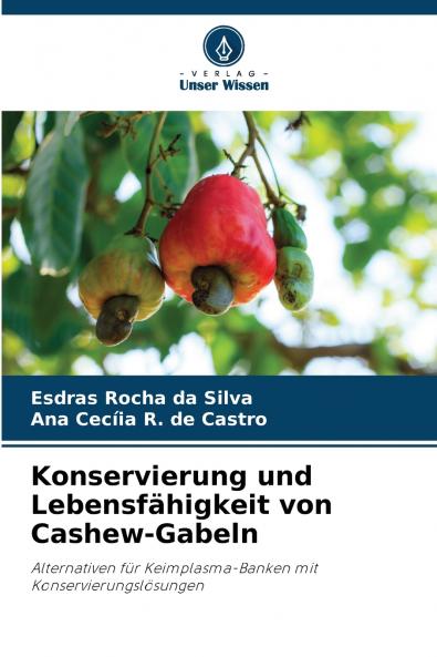 Konservierung und Lebensfähigkeit von Cashew-Gabeln