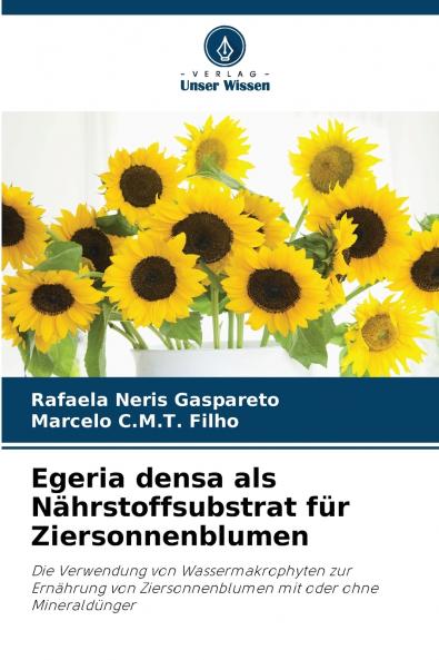 Egeria densa als Nährstoffsubstrat für Ziersonnenblumen