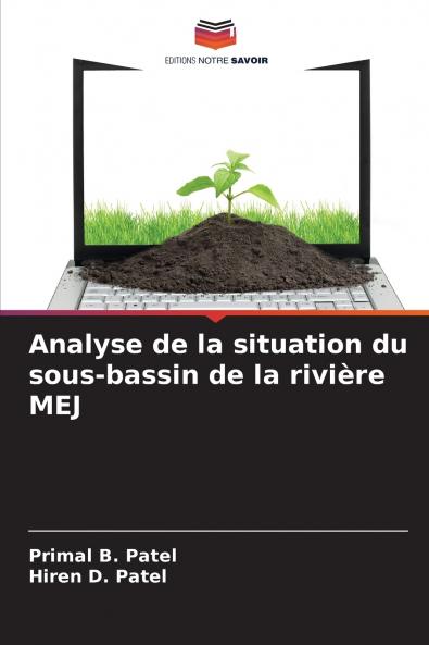 Analyse de la situation du sous-bassin de la rivière MEJ