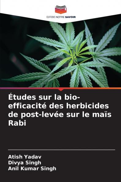 Études sur la bio-efficacité des herbicides de post-levée sur le maïs Rabi