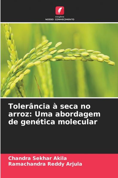 Tolerância à seca no arroz