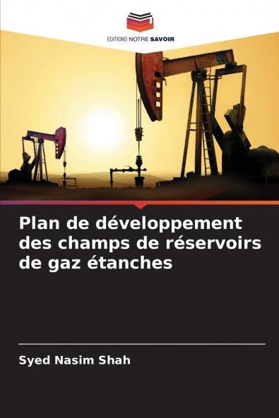 Plan de développement des champs de réservoirs de gaz étanches