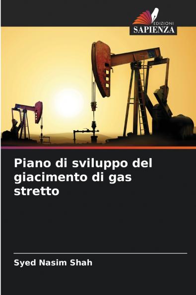 Piano di sviluppo del giacimento di gas stretto
