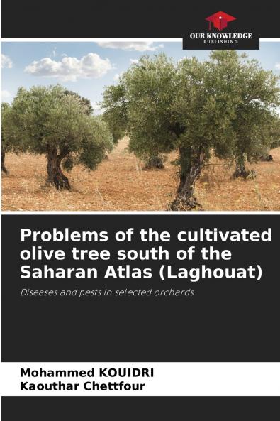 Problems of the cultivated olive tree south of the Saharan Atlas (Laghouat)