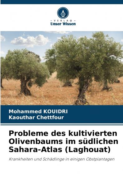 Probleme des kultivierten Olivenbaums im südlichen Sahara-Atlas (Laghouat)