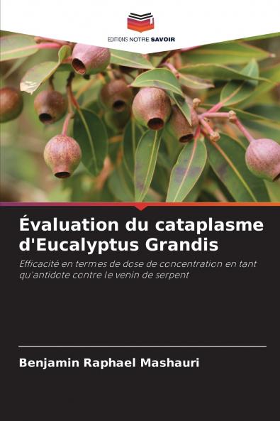 Évaluation du cataplasme d'Eucalyptus Grandis