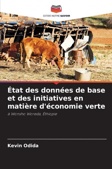 État des données de base et des initiatives en matière d'économie verte