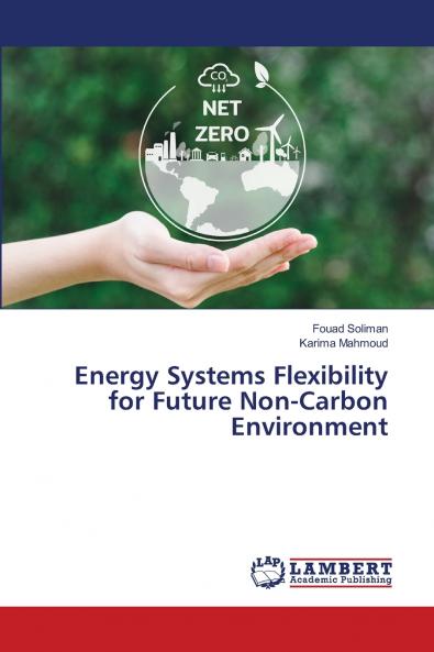 Energy Systems Flexibility for Future Non-Carbon Environment