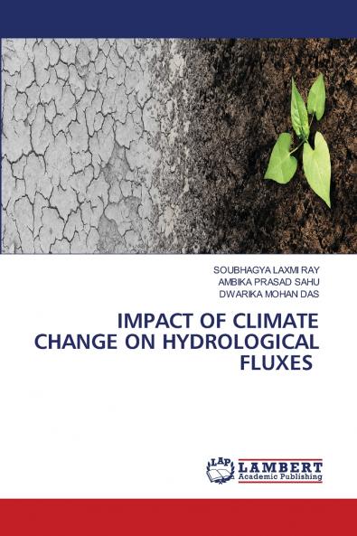 IMPACT OF CLIMATE CHANGE ON HYDROLOGICAL FLUXES