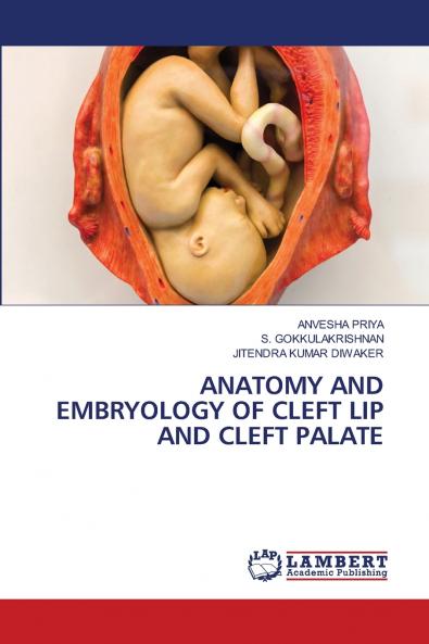 ANATOMY AND EMBRYOLOGY OF CLEFT LIP AND CLEFT PALATE