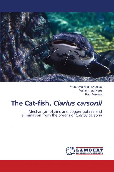 The Cat-fish Clarius carsonii