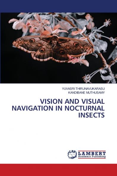 VISION AND VISUAL NAVIGATION IN NOCTURNAL INSECTS