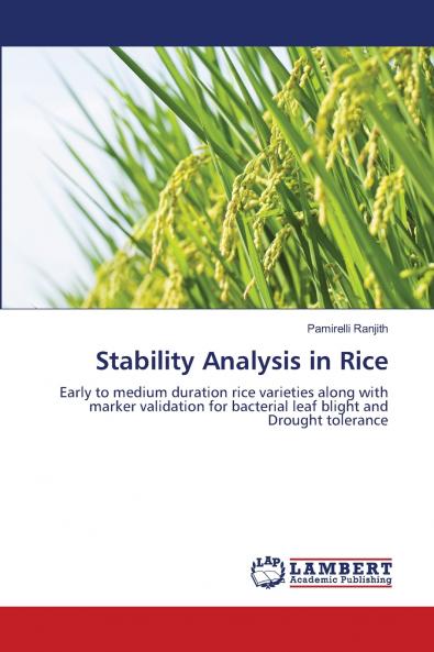 Stability Analysis in Rice