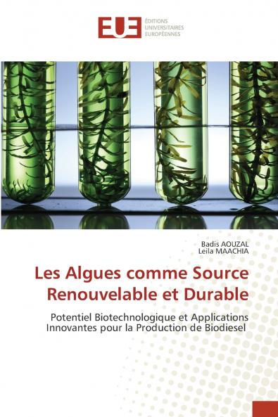 Les Algues comme Source Renouvelable et Durable