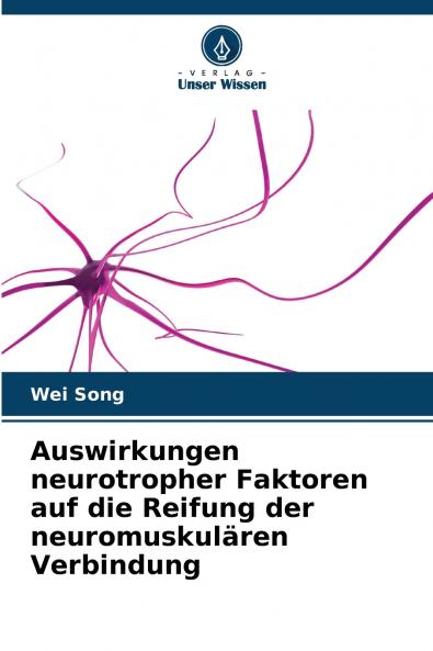 Auswirkungen neurotropher Faktoren auf die Reifung der neuromuskulären Verbindung
