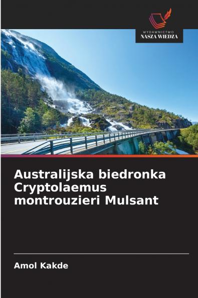 Australijska biedronka Cryptolaemus montrouzieri Mulsant